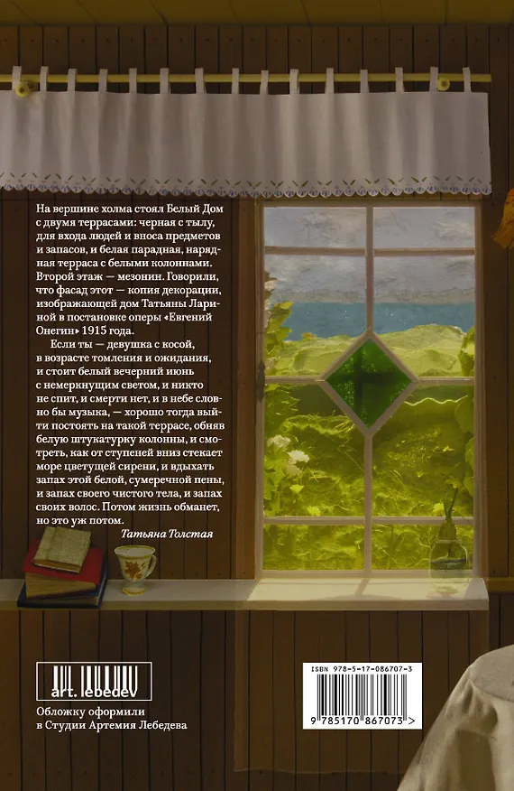 Книга Невидимая дева (Татьяна Толстая) — 2