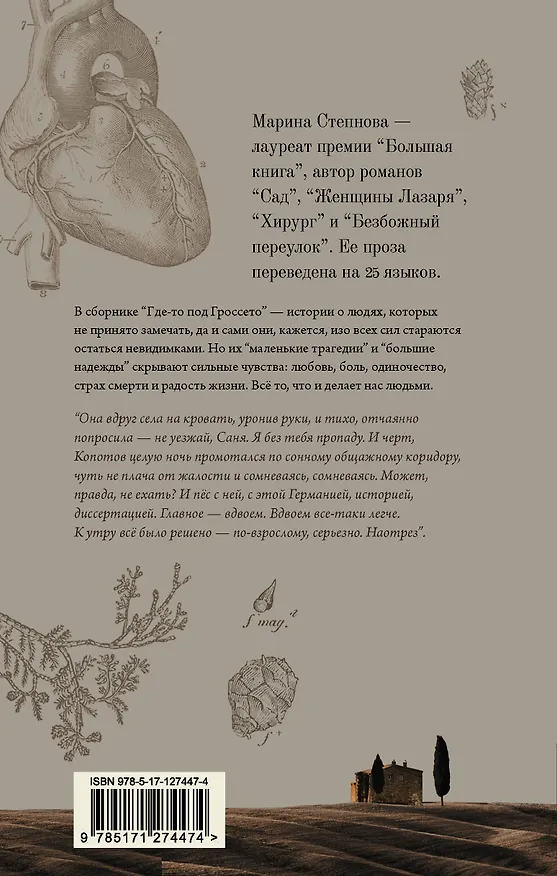 Книга Где-то под Гроссето (Марина Степнова) — 2