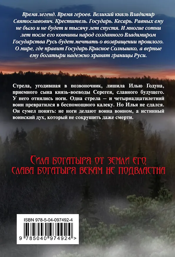 Книга Варяг. Богатырь (Александр Мазин) — 2