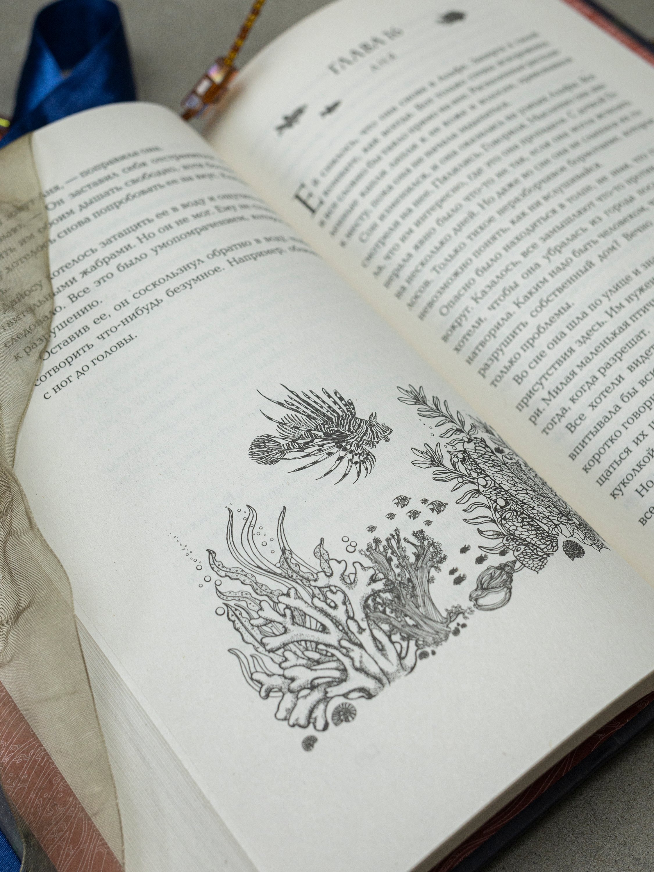 Изображение бумажной книги