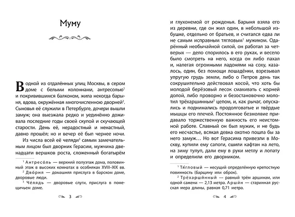 Книга Муму. Рассказы (Иван Тургенев) — 10