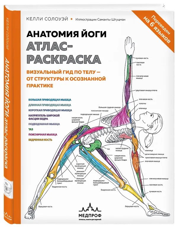 Книга Анатомия йоги: атлас-раскраска. Визуальный гид по телу — от структуры к осознанной практике (Келли Солоуэй) — 5