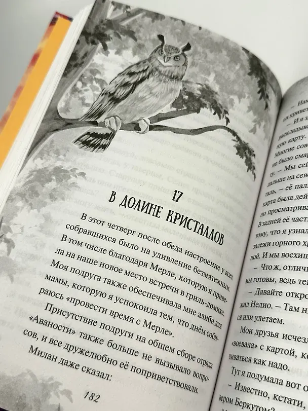 Книга Испытание дружбой (Нелли Мёле) — 13
