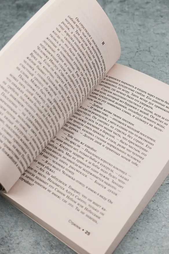 Книга Стрелок (Стивен Кинг) — 11
