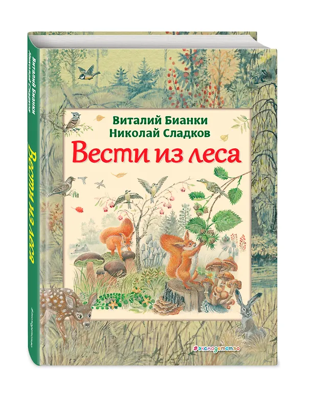 Книга Вести из леса (ил. М. Белоусовой) (Виталий Бианки) — 4