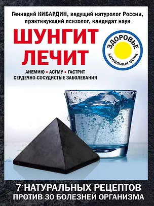 Книга Шунгит лечит (Геннадий Кибардин)