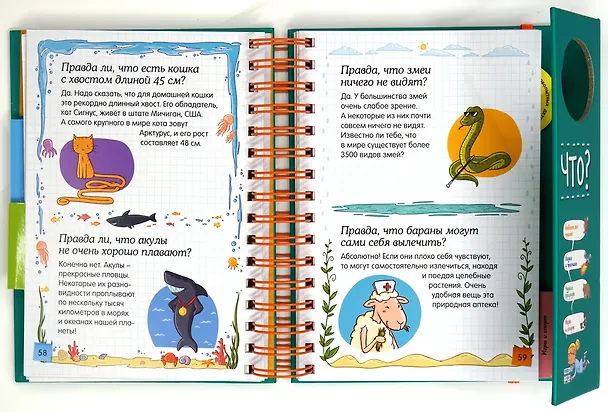 Книга Правда ли, что? (энциклопедия на пружине) (Валентин Верте) — 6