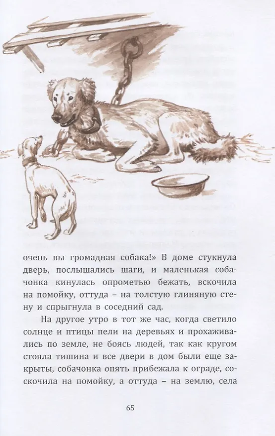 Книга Жила на свете собака. Рассказы (Леонид Андреев) — 6