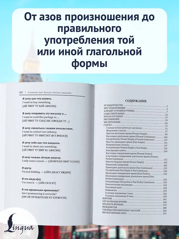Книга Английский язык! Большой понятный самоучитель. Всё подробно и по полочкам (Сергей Матвеев) — 7