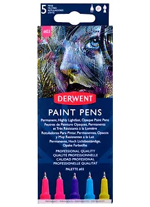 Набор капиллярных ручек Paint Pen №3 5шт