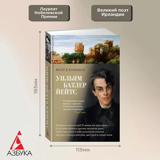 Книга Ветер в камышах (Уильям Йейтс) — 4