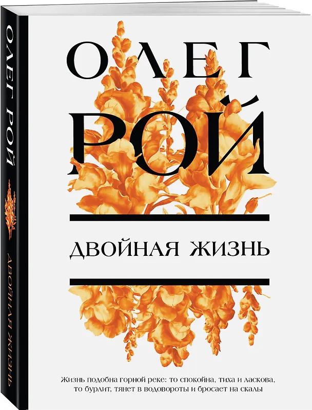 Книга Двойная жизнь (Олег Рой) — 4