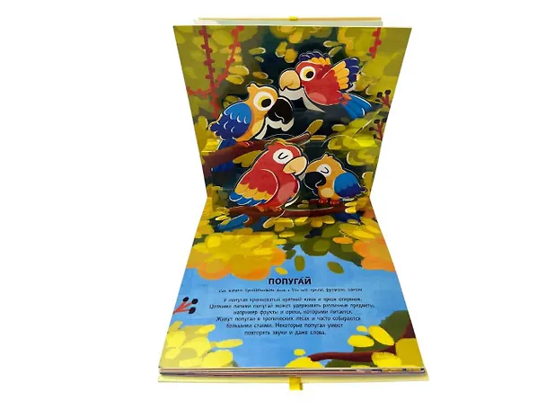 Книга Животные. Pop-up панорамка с крупными буквами () — 13