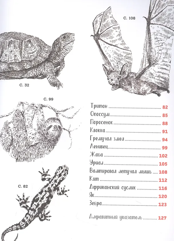 Книга Рисуем животных ручками и маркерами. 26 реалистичных проектов (Д. Миллер) — 3