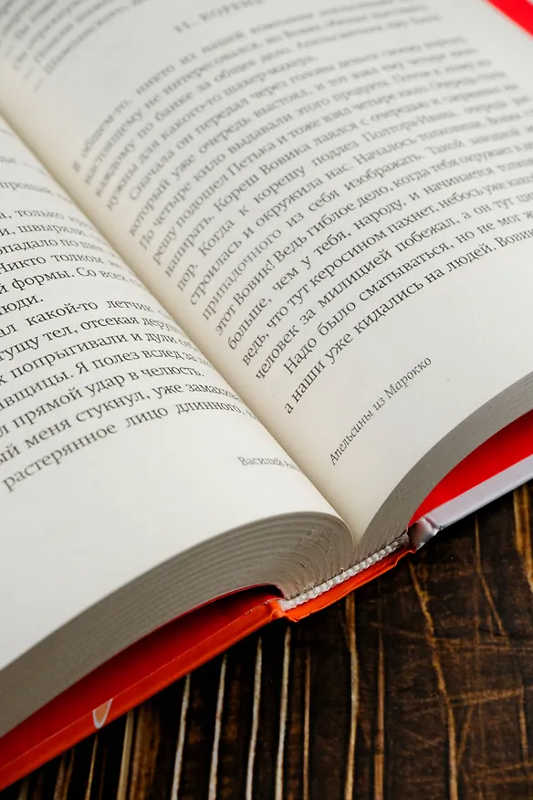 Книга Звездный билет. Апельсины из Марокко. Пора, мой друг, пора (Василий Аксёнов) — 13
