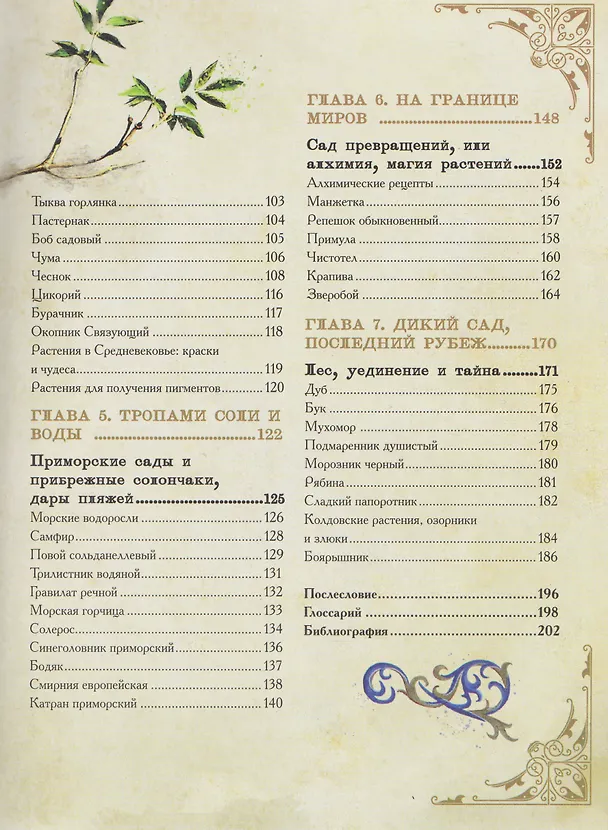 Книга Травология Средневековья. Чудодейственные растения, древние рецепты и непостижимые тайны трав (Магали Мотте, Сара Мотте) — 16