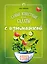 Самые известные салаты с изюминкой — 2518974 — 1