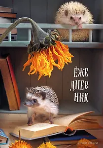 Ежедневник недат. А5 72л "Ёжедневник. Блокнот для людей и ежей (книги)"