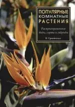 Популярные комнатные растения: Распространенные виды, сорта и гибриды — 2105814 — 1