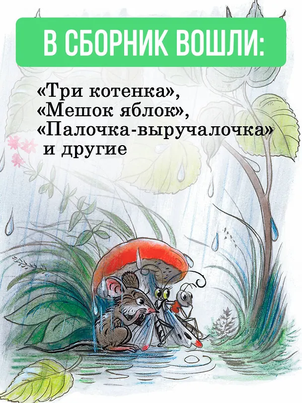 Книга Сказки (Владимир Сутеев) — 7