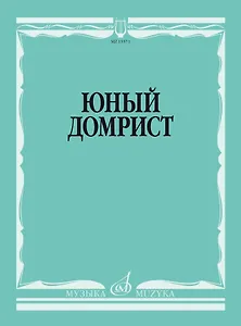 Юный домрист