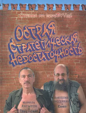 Острая стратегическая недостаточность. Страна на переПутье — 2319986 — 1