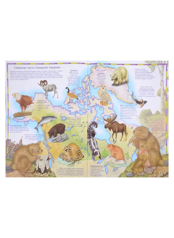 Книга Первый атлас для детей. Животные () — 5