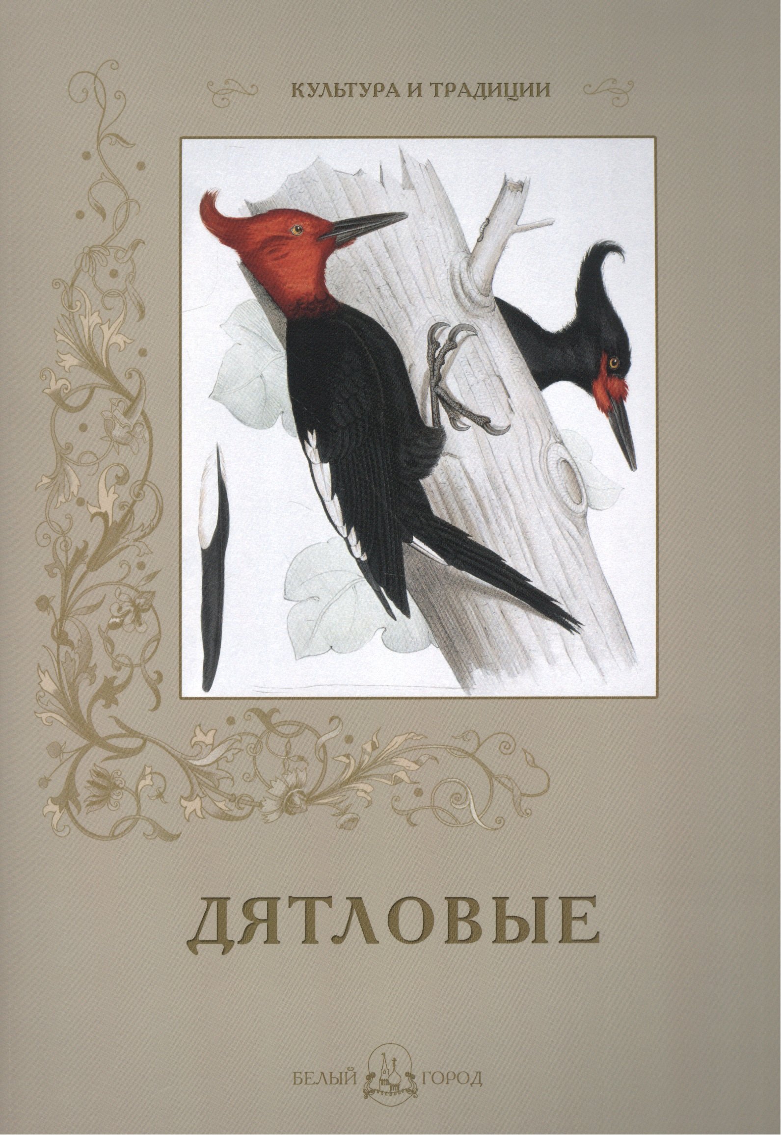

Дятловые