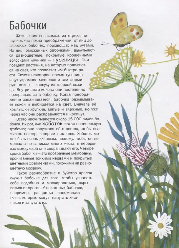 Книга Насекомые. Удивительный маленький мир (Паола Гримальди) — 4
