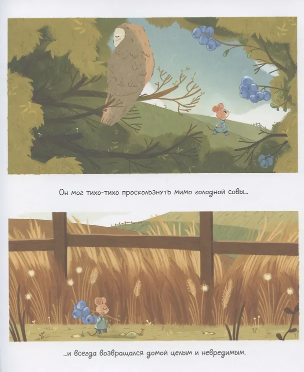 Книга Мышонок по имени Джулиан (Джо Тодд-Стентон) — 6
