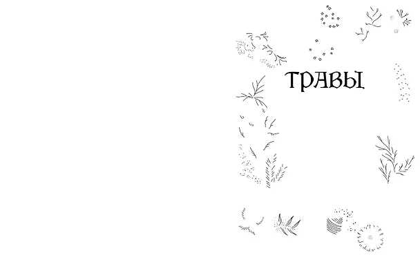 Книга Травы. Магические запасы. Иллюстрированное руководство по сбору и заготовке волшебных растений, их полезным свойствам и сезонным ритуалам (Эбони Георге) — 2