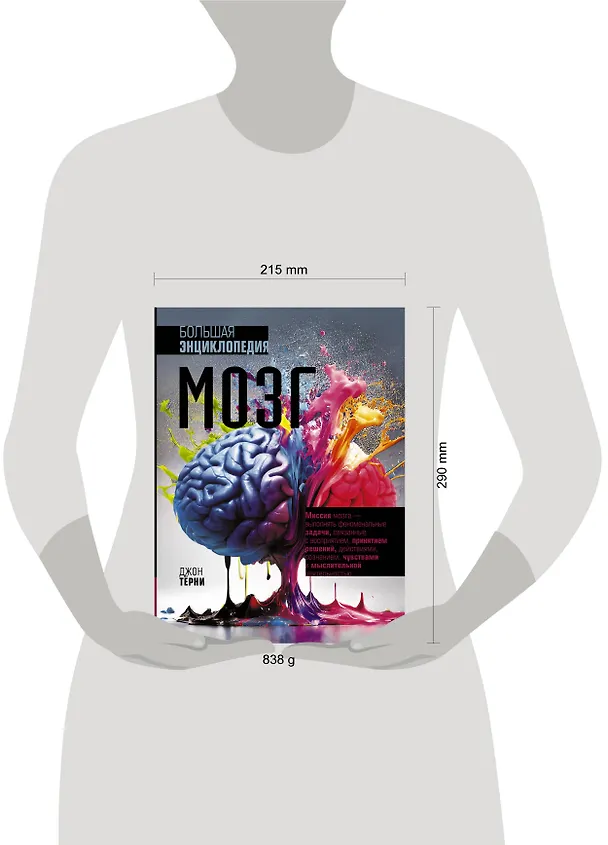 Книга Мозг. Большая энциклопедия (Джон Тёрни) — 6