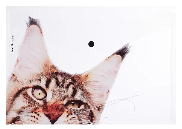 Папка -конверт «Hiding Cats» А4 на кнопке, в ассортименте, Erich Krause 3108838 — 1