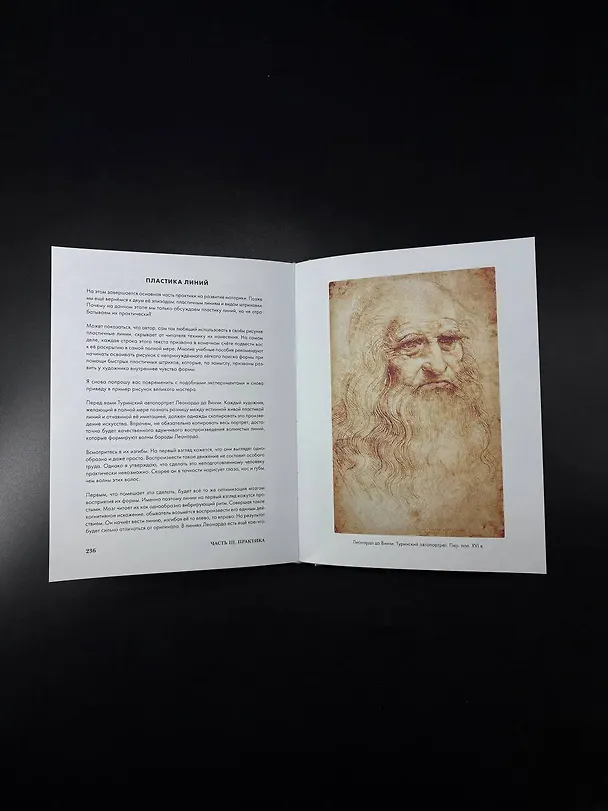 Книга Структура таланта. От иллюзий к реальности: как стать настоящим художником (Андрей Самарин) — 17