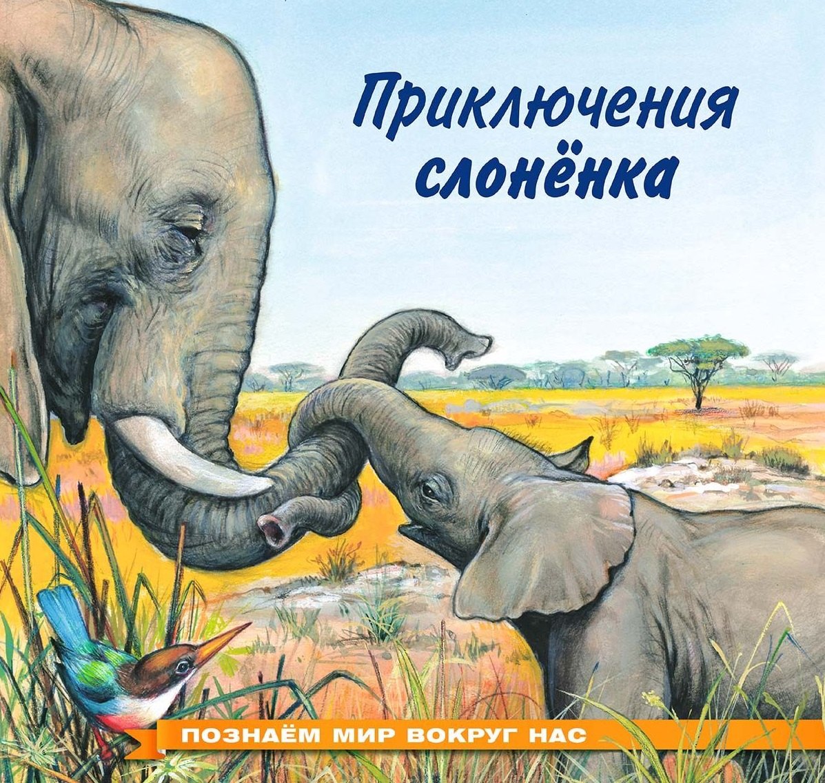 

Приключения слонёнка