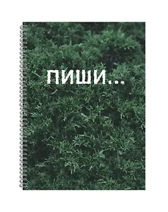 Тетрадь в клетку Listoff, "Пиши", А4, 120 листов