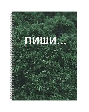 Тетрадь в клетку Listoff, "Пиши", А4, 120 листов 3032947