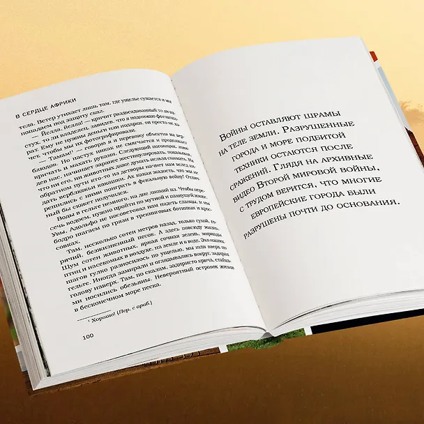 Книга В сердце Африки. Незабываемое приключение русских, отправившихся по самым нетуристическим местам Африки и задержанных по подозрению в шпионаже (Алексей Камерзанов) — 10