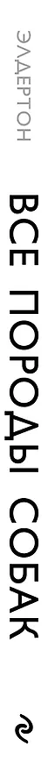 Книга Все породы собак (Дэвид Элдертон) — 3