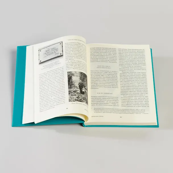 Книга Чайка. Три сестры. Вишневый сад (Антон Чехов) — 20