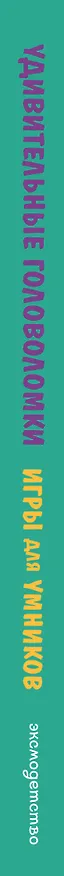Книга Удивительные головоломки (Ирина Ремизова) — 4