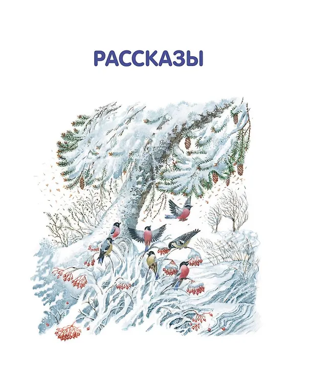 Книга Лучшие рассказы и сказки о природе (ил. М. Белоусовой) (Виталий Бианки) — 7