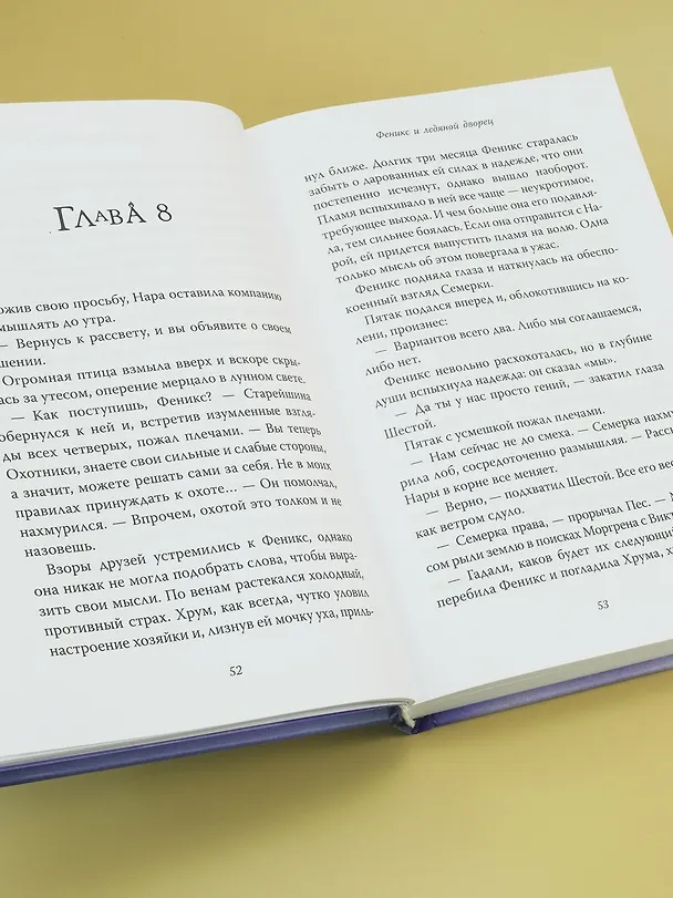 Книга Рожденная огнем. Книга 2. Феникс и ледяной дворец (Ашлин Фаулер) — 13