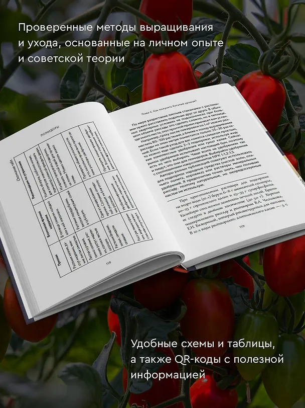 Книга Энциклопедия пасленовых. Томат. Перец. Баклажан. Физалис (Алёна Волкова) — 6