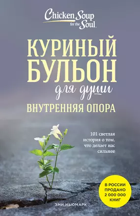 Куриный бульон для души. Внутренняя опора. 101 светлая история о том, что делает нас сильнее — 3053645 — 1