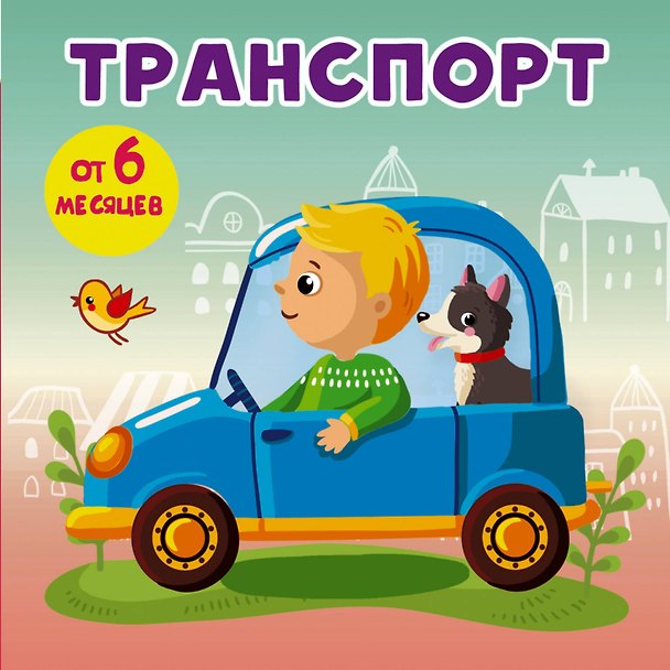 Книга Транспорт (Анна Игнатова) — 1