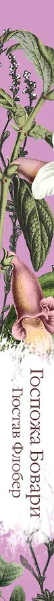 Книга Госпожа Бовари (Гюстав Флобер) — 5