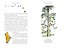 Winnie the Pooh Classic edition — 3038440 — 3
