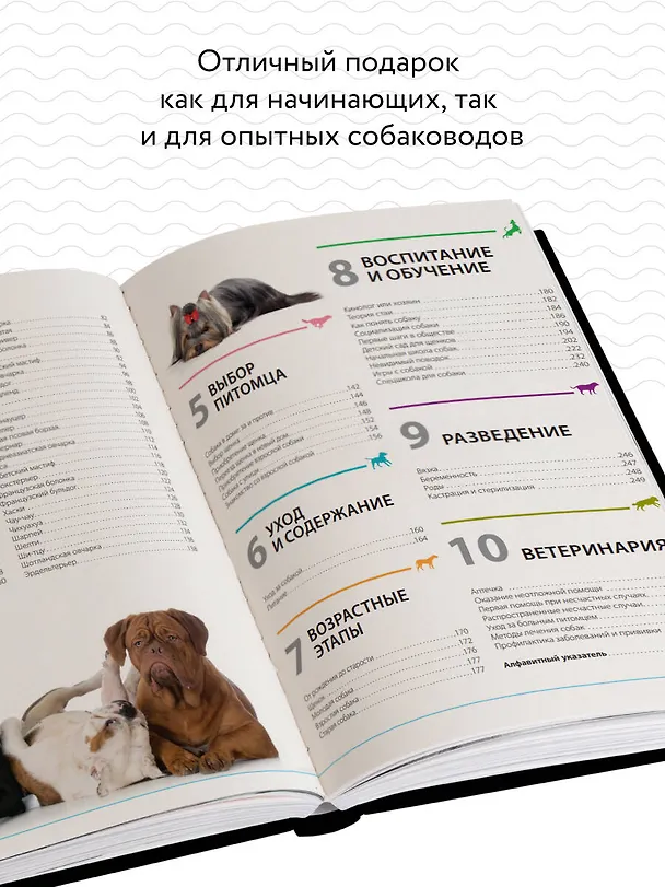 Книга Собаки. Подарочная иллюстрированная энциклопедия (Андрей Шкляев, Игорь Ритербанд) — 6