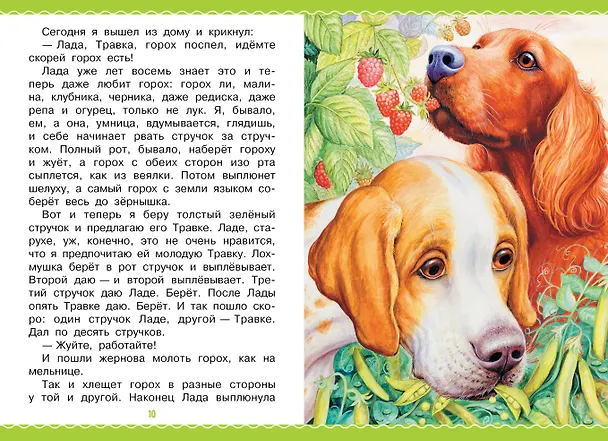 Книга Рассказы (Михаил Пришвин) — 13